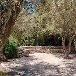 Mangia's Brucoli, Sicily, Autograph Collection